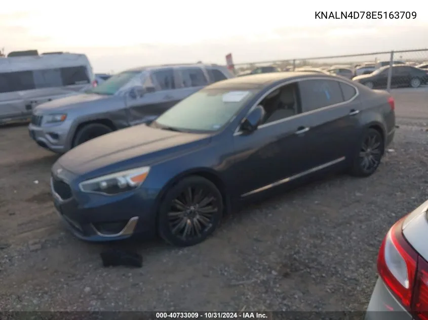 2014 Kia Cadenza Limited VIN: KNALN4D78E5163709 Lot: 40733009