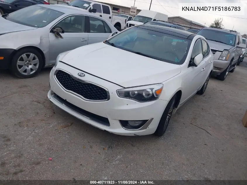 2015 Kia Cadenza Premium VIN: KNALN4D71F5186783 Lot: 40711923