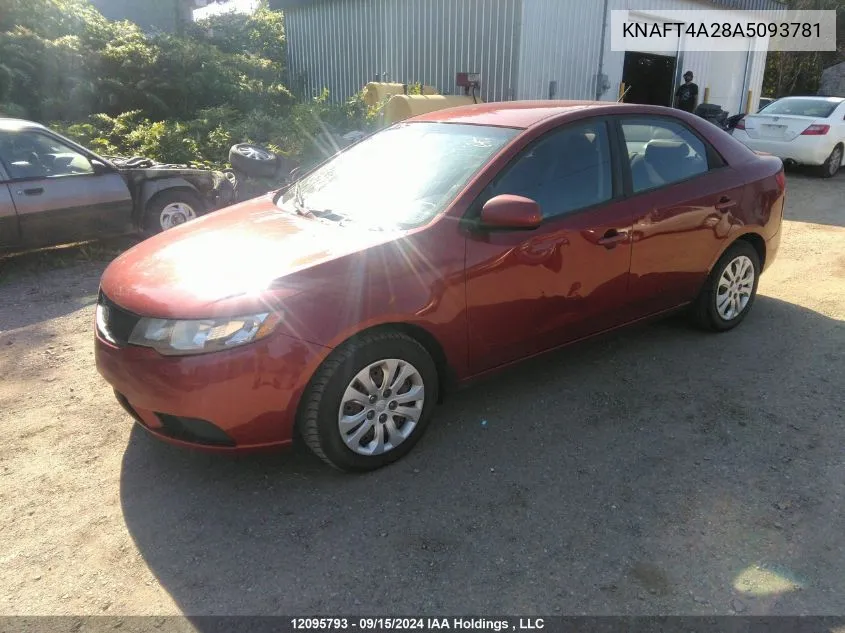 2010 Kia Forte VIN: KNAFT4A28A5093781 Lot: 12095793