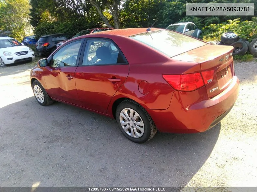 2010 Kia Forte VIN: KNAFT4A28A5093781 Lot: 12095793