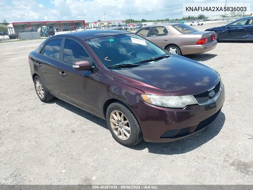 KNAFU4A2XA5836003 2010 Kia Forte Ex