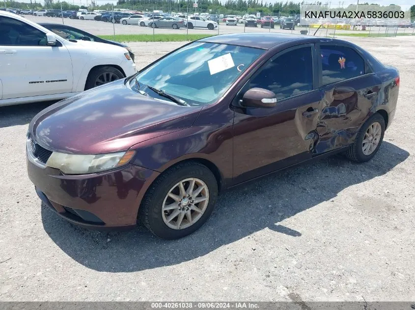 2010 Kia Forte Ex VIN: KNAFU4A2XA5836003 Lot: 40261038