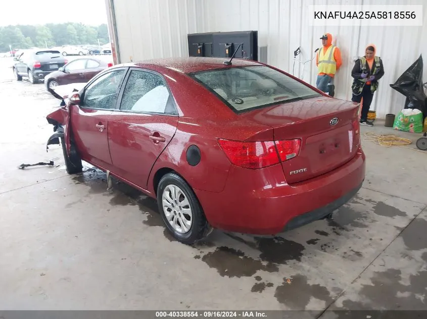 2010 Kia Forte Ex VIN: KNAFU4A25A5818556 Lot: 40338554