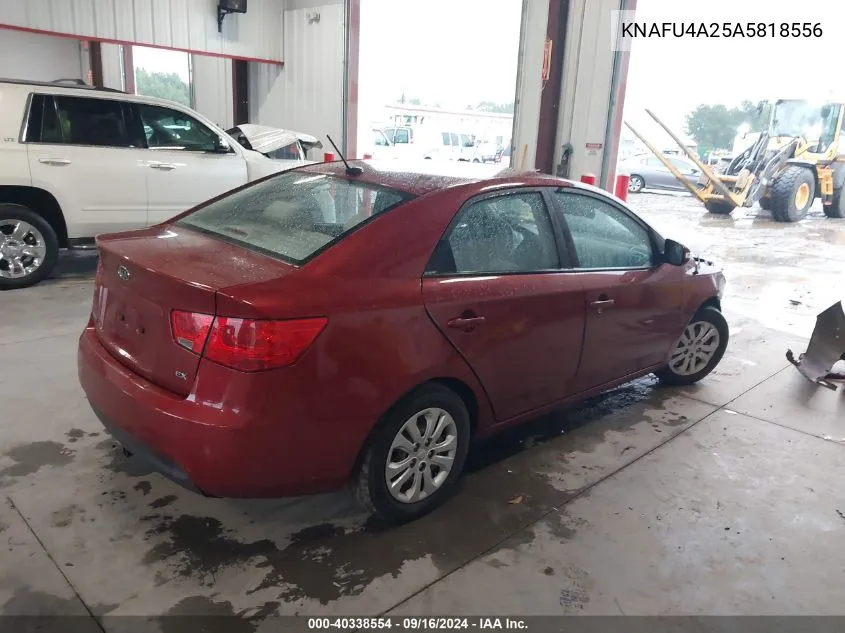 2010 Kia Forte Ex VIN: KNAFU4A25A5818556 Lot: 40338554