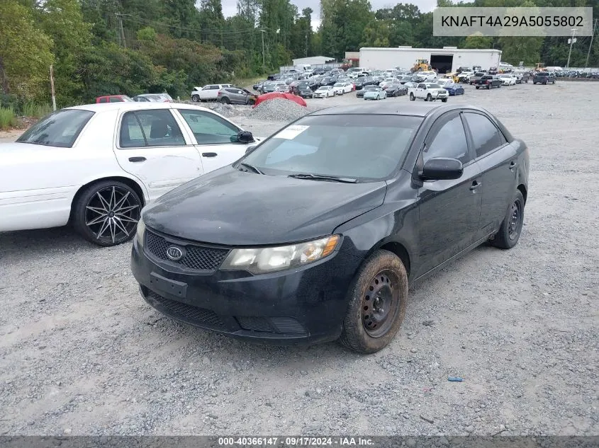 2010 Kia Forte Lx VIN: KNAFT4A29A5055802 Lot: 40366147