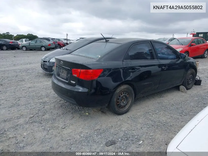 2010 Kia Forte Lx VIN: KNAFT4A29A5055802 Lot: 40366147