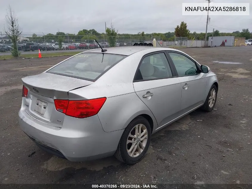 2010 Kia Forte Ex VIN: KNAFU4A2XA5286818 Lot: 40370265