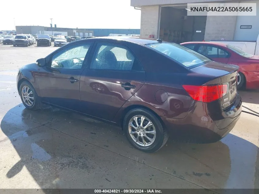 2010 Kia Forte Ex VIN: KNAFU4A22A5065665 Lot: 40424821