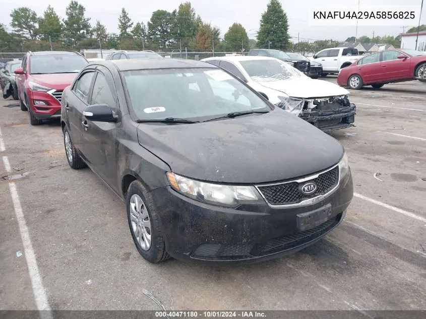 KNAFU4A29A5856825 2010 Kia Forte Ex