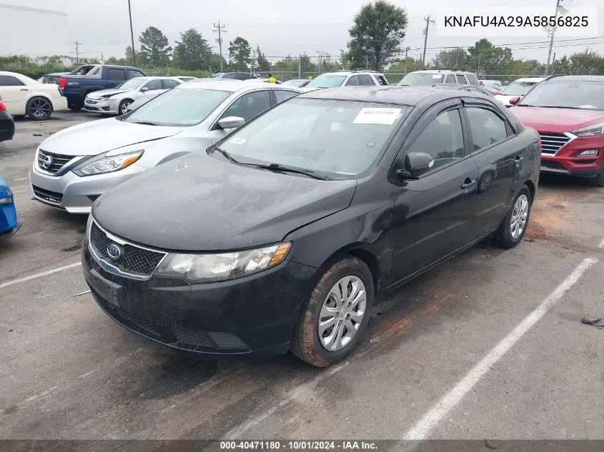 2010 Kia Forte Ex VIN: KNAFU4A29A5856825 Lot: 40471180