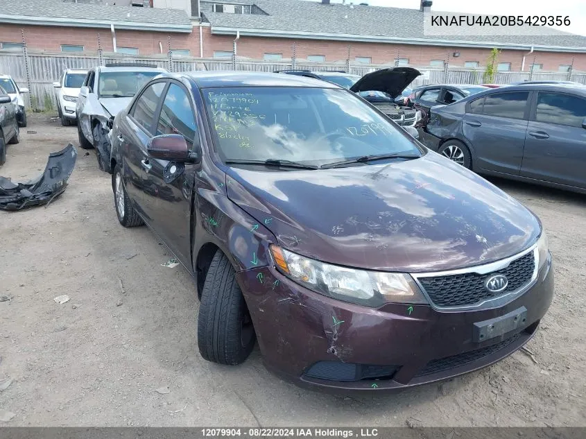 2011 Kia Forte VIN: KNAFU4A20B5429356 Lot: 12079904