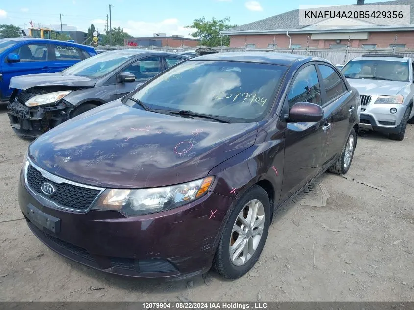 2011 Kia Forte VIN: KNAFU4A20B5429356 Lot: 12079904