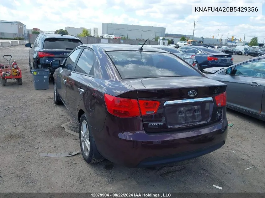 2011 Kia Forte VIN: KNAFU4A20B5429356 Lot: 12079904