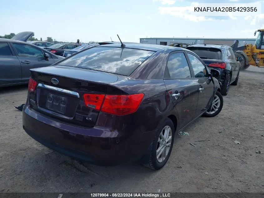 2011 Kia Forte VIN: KNAFU4A20B5429356 Lot: 12079904