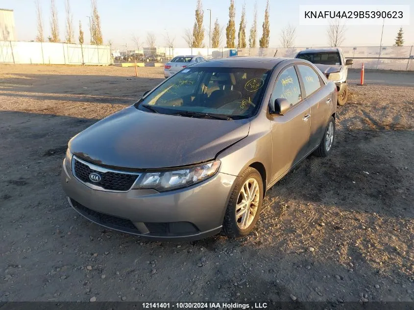 2011 Kia Forte Ex VIN: KNAFU4A29B5390623 Lot: 12141401