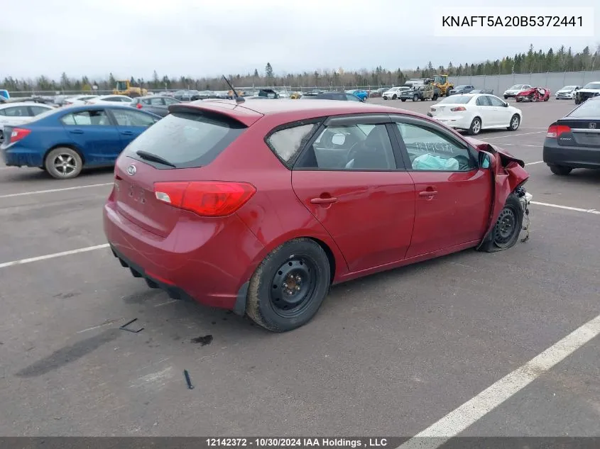 2011 Kia Forte 5-Door VIN: KNAFT5A20B5372441 Lot: 12142372