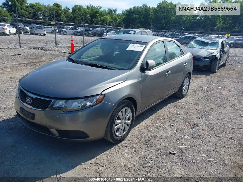 2011 Kia Forte Ex VIN: KNAFU4A29B5889664 Lot: 40164048