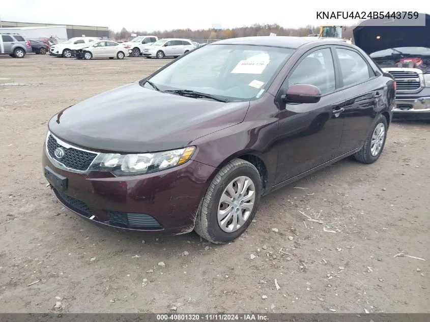 2011 Kia Forte Ex VIN: KNAFU4A24B5443759 Lot: 40801320