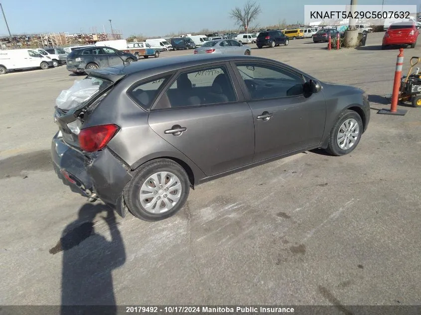 2012 Kia Forte Lx VIN: KNAFT5A29C5607632 Lot: 20179492