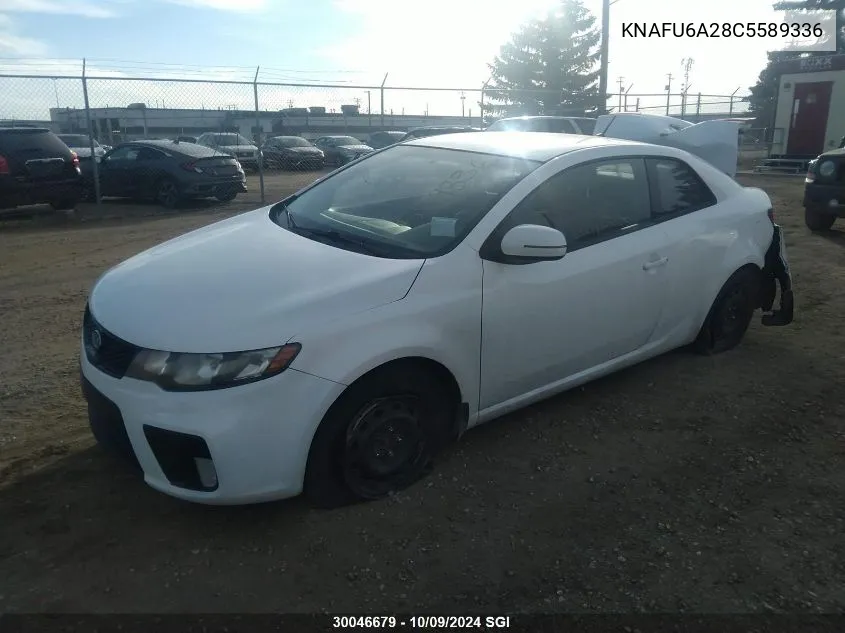 2012 Kia Forte Ex VIN: KNAFU6A28C5589336 Lot: 30046679