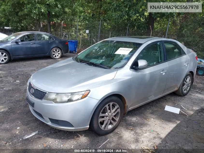 2012 Kia Forte Ex VIN: KNAFU4A29C5567978 Lot: 40392419