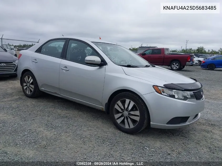 2013 Kia Forte VIN: KNAFU4A25D5683485 Lot: 12082338