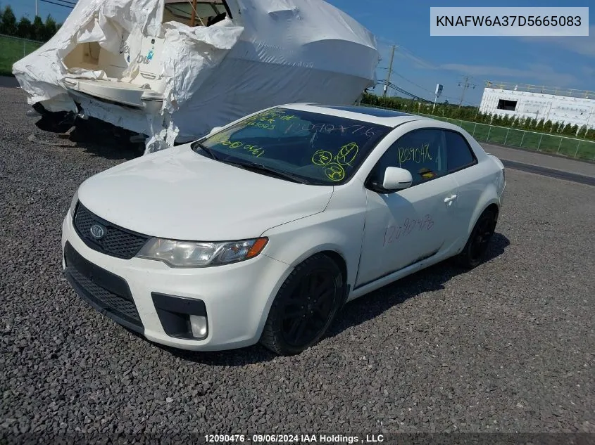 2013 Kia Forte Koup VIN: KNAFW6A37D5665083 Lot: 12090476