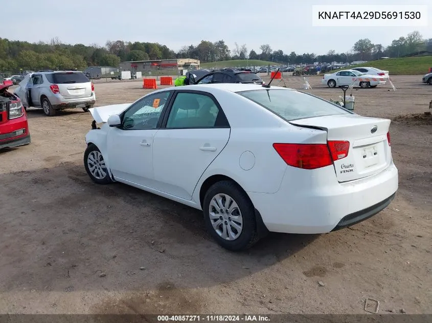 2013 Kia Forte Lx VIN: KNAFT4A29D5691530 Lot: 40857271