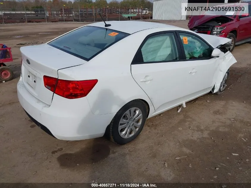 2013 Kia Forte Lx VIN: KNAFT4A29D5691530 Lot: 40857271