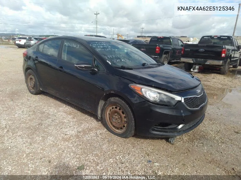 2014 Kia Forte Lx VIN: KNAFX4A62E5125346 Lot: 12053863