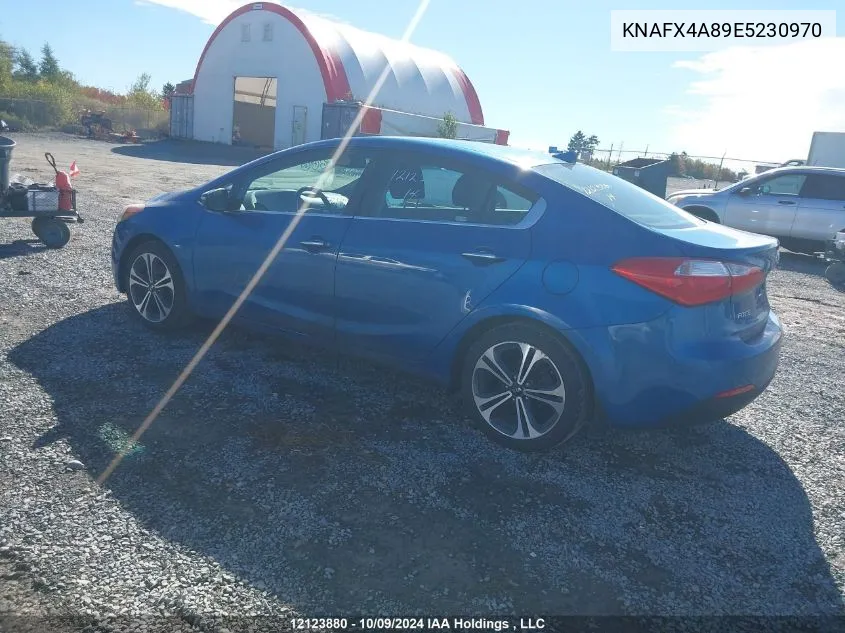 2014 Kia Forte VIN: KNAFX4A89E5230970 Lot: 12123880