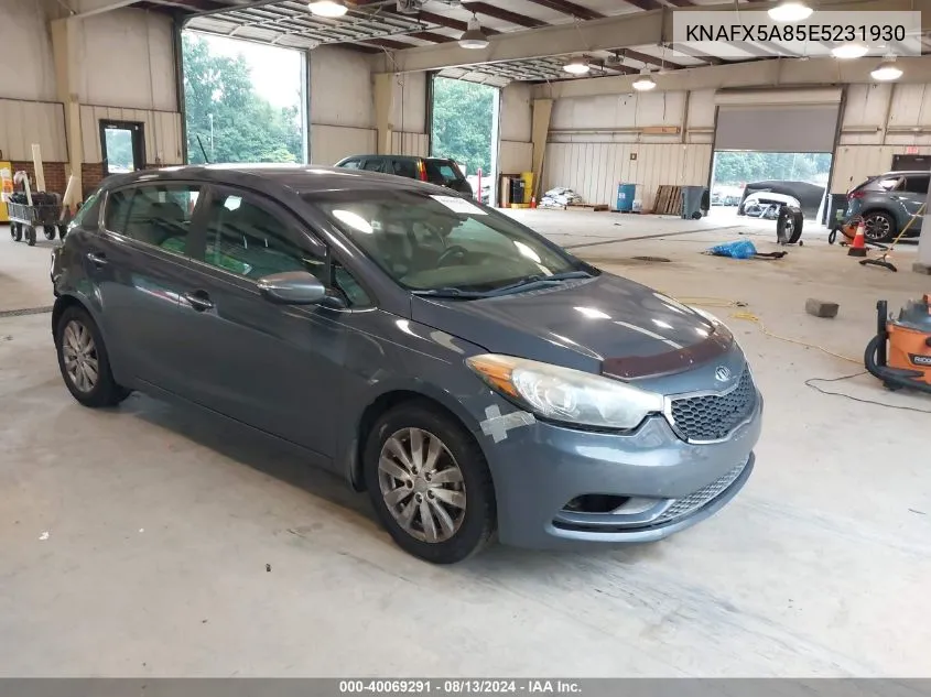 2014 Kia Forte Ex VIN: KNAFX5A85E5231930 Lot: 40069291