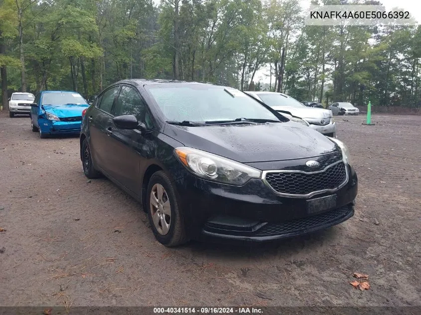 2014 Kia Forte Lx VIN: KNAFK4A60E5066392 Lot: 40341514