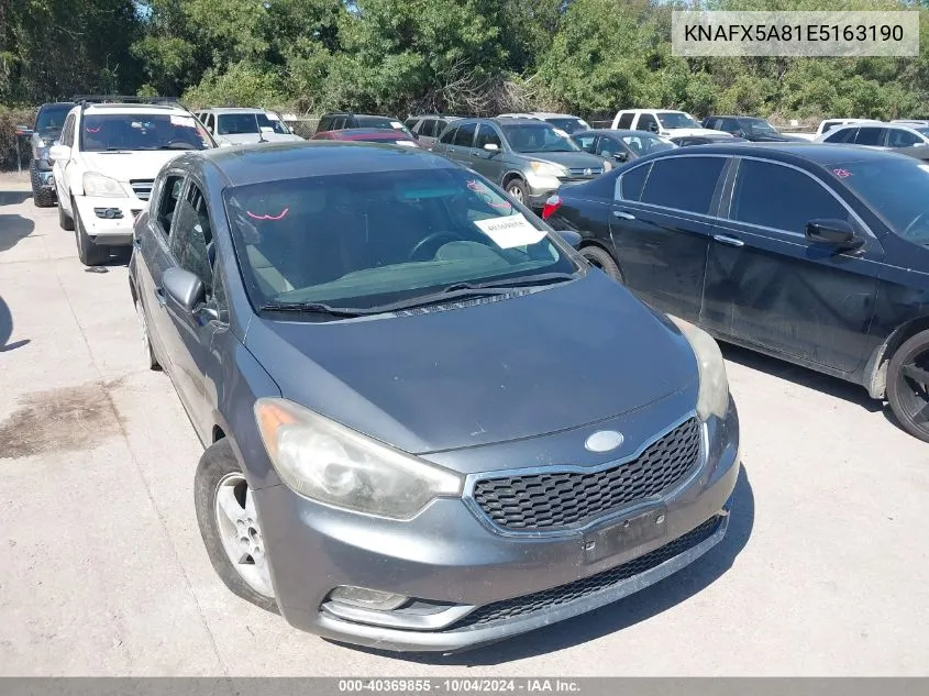 KNAFX5A81E5163190 2014 Kia Forte 5-Door Ex