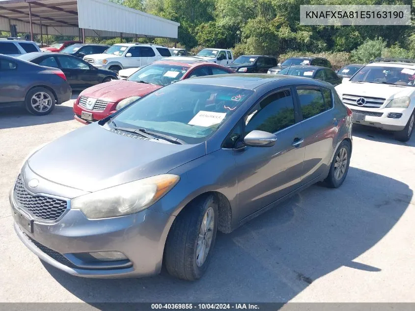 KNAFX5A81E5163190 2014 Kia Forte 5-Door Ex