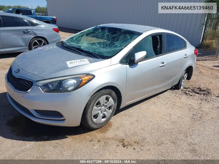 2014 Kia Forte Lx VIN: KNAFK4A66E5139460 Lot: 40377296