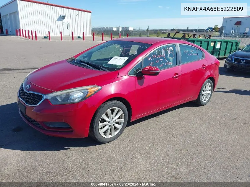 2014 Kia Forte Lx VIN: KNAFX4A68E5222809 Lot: 40417574