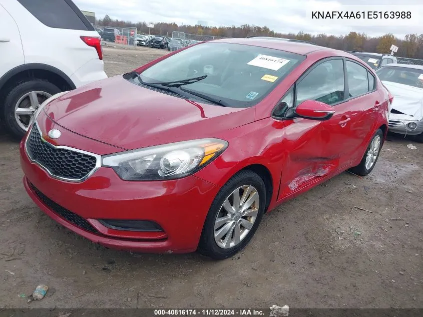 2014 Kia Forte Lx VIN: KNAFX4A61E5163988 Lot: 40816174