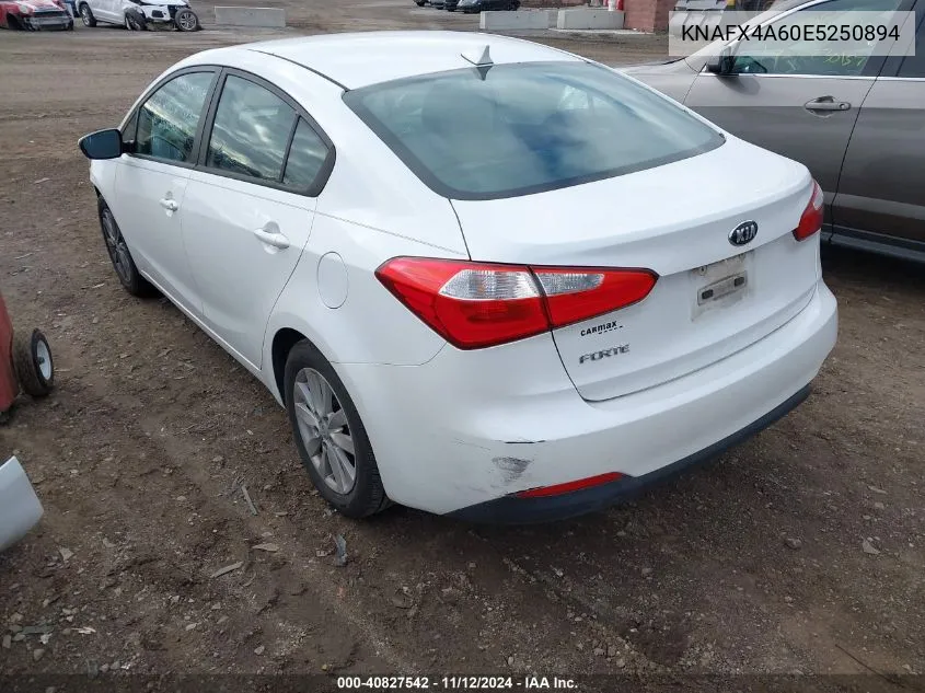 2014 Kia Forte Lx VIN: KNAFX4A60E5250894 Lot: 40827542