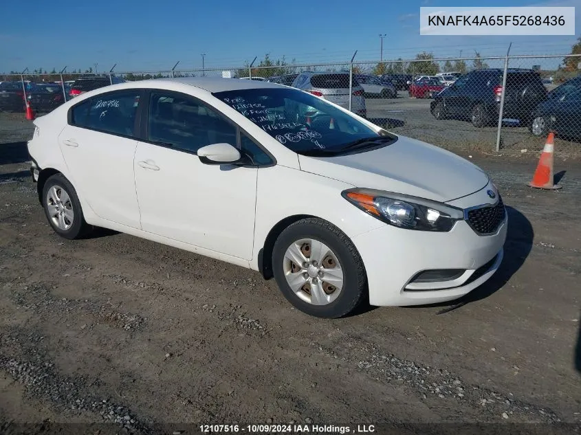 2015 Kia Forte VIN: KNAFK4A65F5268436 Lot: 12107516