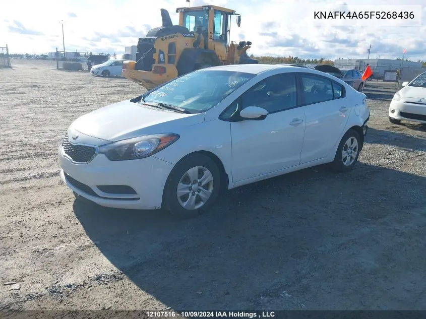 2015 Kia Forte VIN: KNAFK4A65F5268436 Lot: 12107516