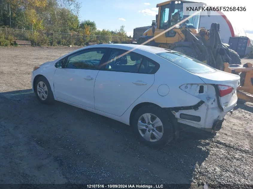 2015 Kia Forte VIN: KNAFK4A65F5268436 Lot: 12107516