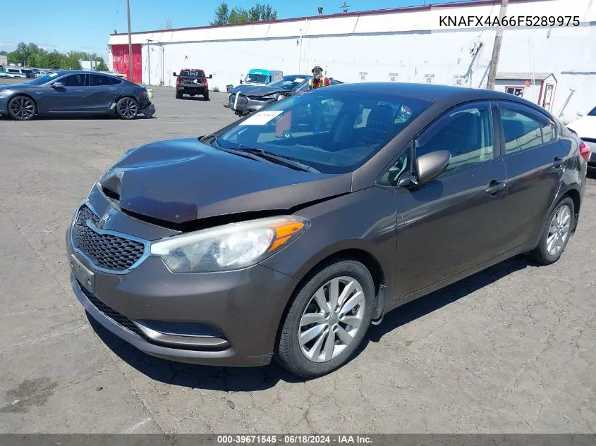 2015 Kia Forte Lx VIN: KNAFX4A66F5289975 Lot: 39671545