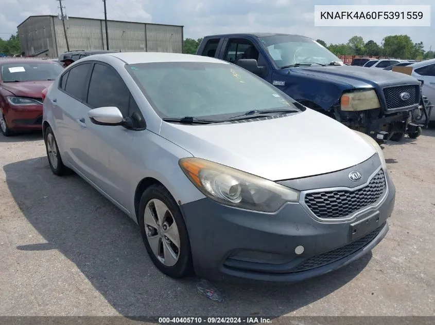 2015 Kia Forte Lx VIN: KNAFK4A60F5391559 Lot: 40405710