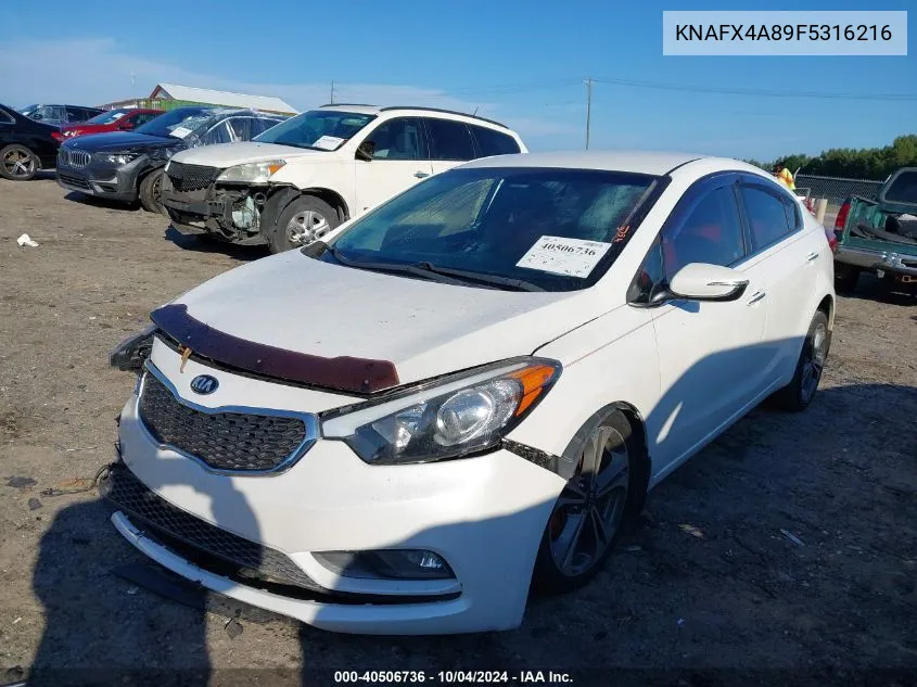 KNAFX4A89F5316216 2015 Kia Forte Ex