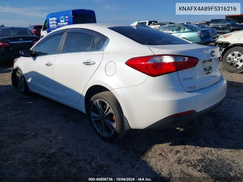 KNAFX4A89F5316216 2015 Kia Forte Ex