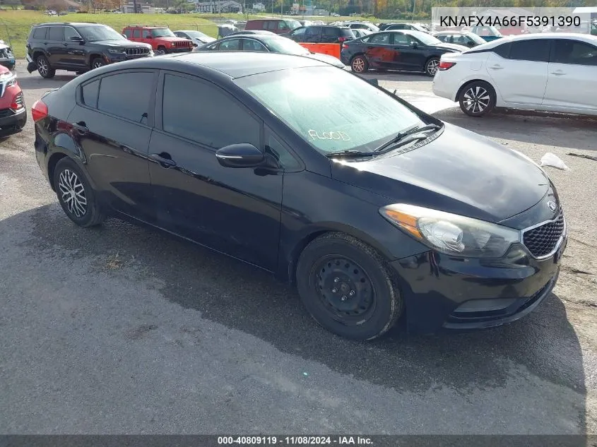 KNAFX4A66F5391390 2015 Kia Forte Lx