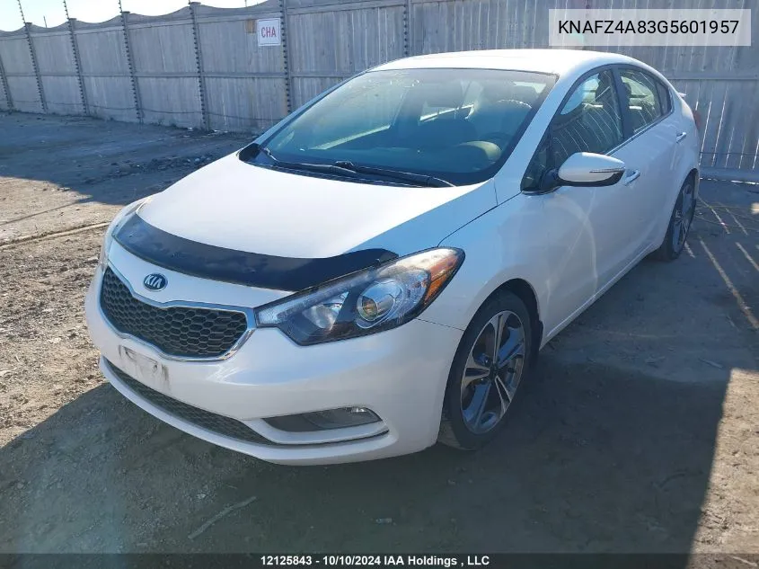 2016 Kia Forte VIN: KNAFZ4A83G5601957 Lot: 12125843