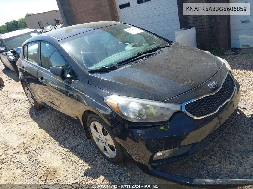 2016 Kia Forte Lx VIN: KNAFK5A83G5606859 Lot: 39841742