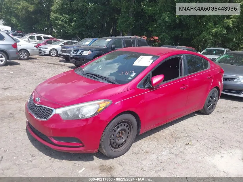 2016 Kia Forte Lx VIN: KNAFK4A60G5443936 Lot: 40217850